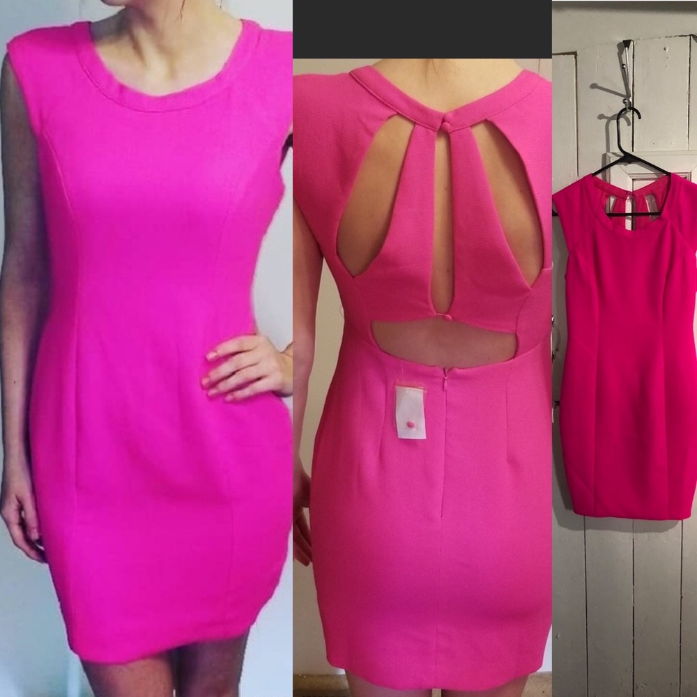 Pink fitted dress with the back cutout NWT. Small